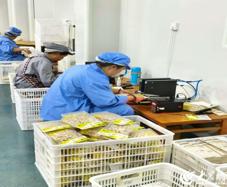 朐：藏在大山深处的“高级定制”AG真人百家家乐app潍坊临(图1)
