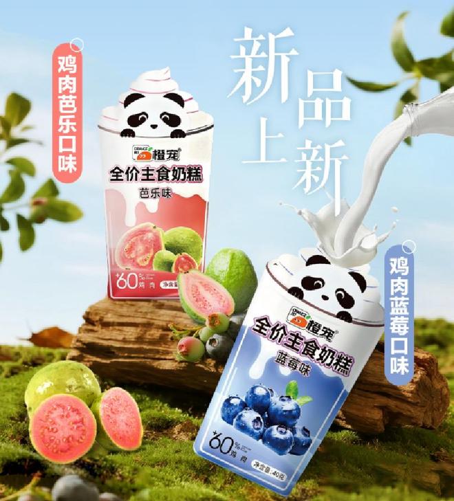 访四川橙宠宠物用品集团有限公司品牌总经理何景AG真人网页让每一份爱都有可靠的回响——专(图2)