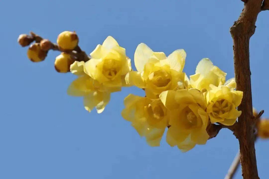 2月22日 京城事儿全知道(图16)