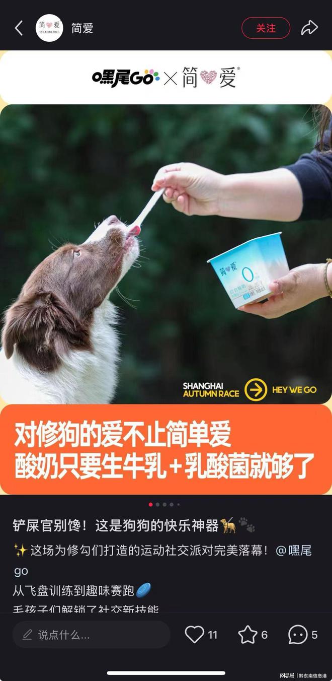 净配方”撬动萌宠经济与母婴信任双赛道AG真人澳门百家家乐简爱