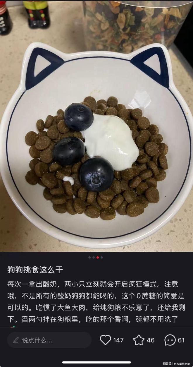 净配方”撬动萌宠经济与母婴信任双赛道AG真人澳门百家家乐简爱酸奶以“纯(图3)
