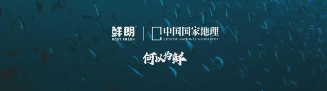 国内首个《鲜肉烘焙全价宠物食品》标准AG真人登录从开创到引领：鲜朗发布(图1)