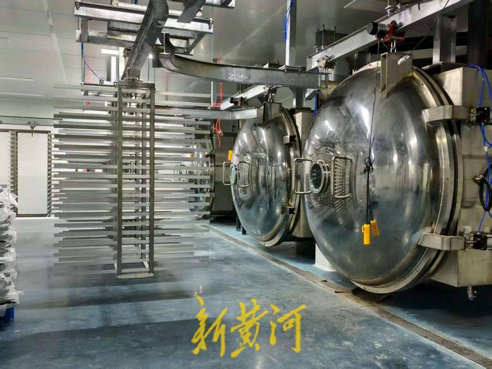 让萌宠“定制”产业破局腾飞AG真人app潍坊临朐：(图1)